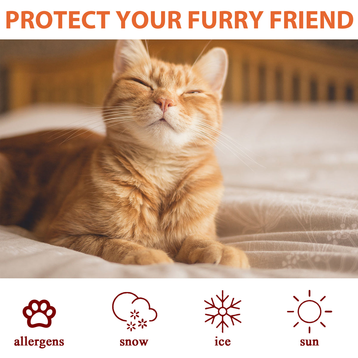 Cat & Dog Paw Care Cream