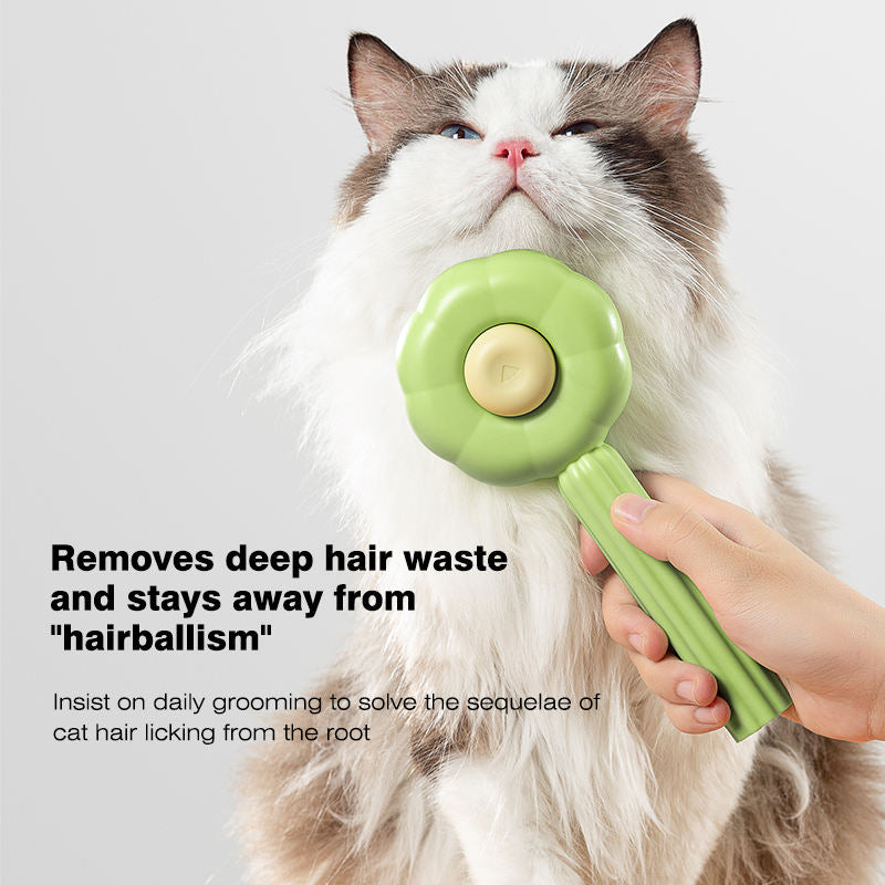 Cat being groomed with a green sunflower-shaped brush