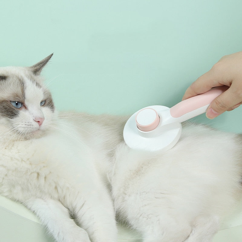 White grooming brush being used on a cat