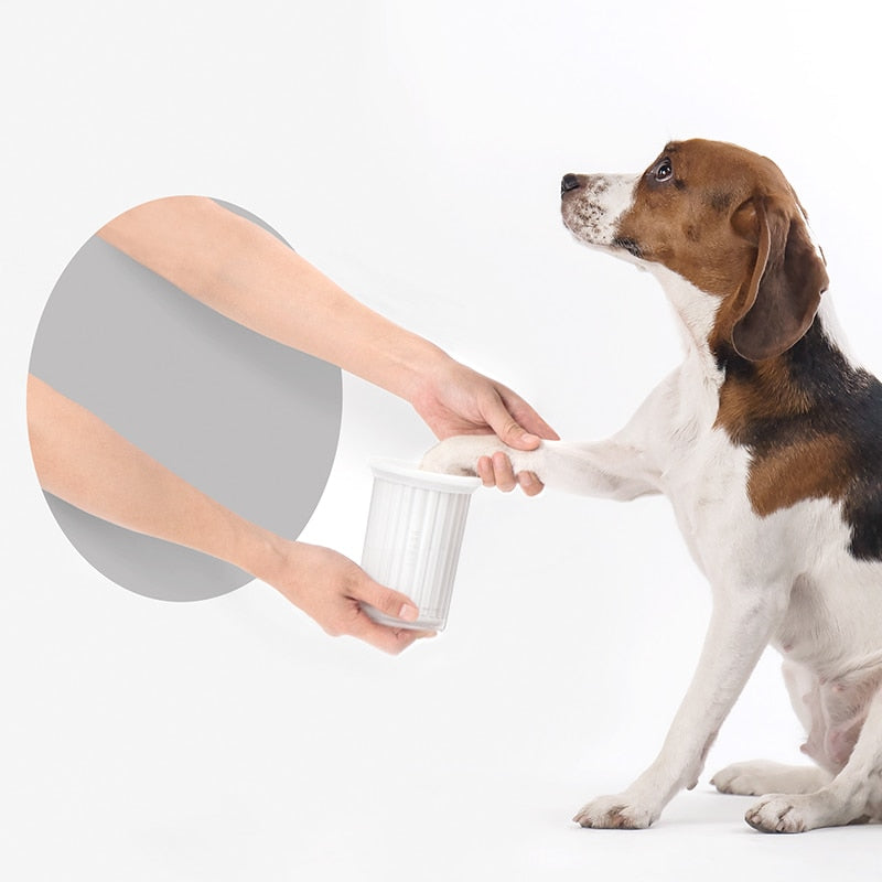 Dog paw placed into a white paw-cleaning cup