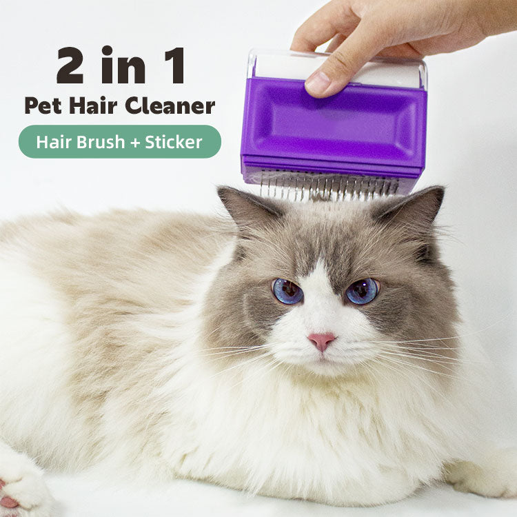 Purple self-cleaning grooming brush used on a cat